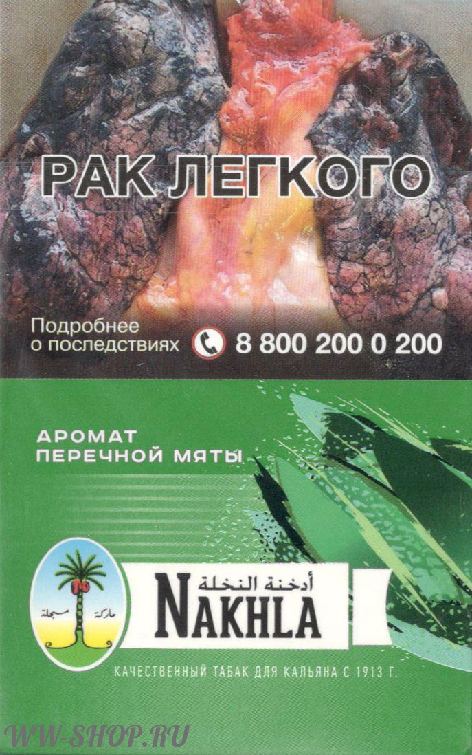 nakhla - перечная мята (spearmint) Нижневартовск